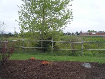 Hotel Claymore Inn And Suites