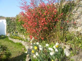 Hostal Stratton Gardens