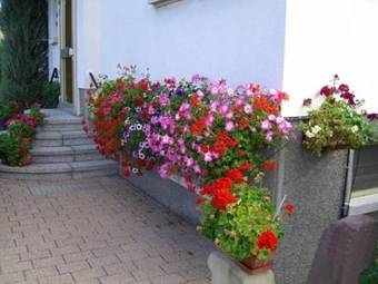 Apartamentos Studio Rouffach