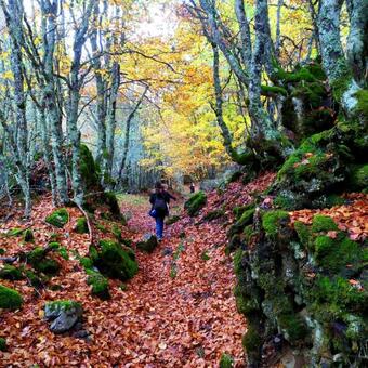 Apartamento El Refugio De Porma.