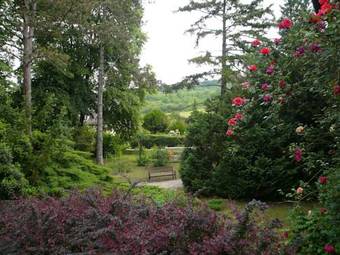 Bed & Breakfast La Pluie De Roses