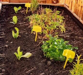 La Cambra Casa Rural