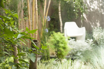 Bed & Breakfast Le Saison - Les Patios Rennes - Saint Gr�goire