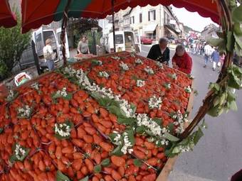 Hotel H�tel Le Beaulieu