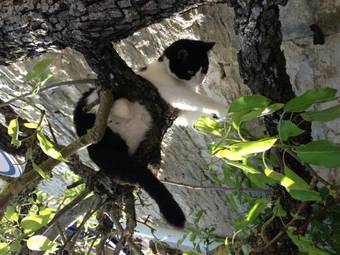 Hostal Le Comptoir De Martine