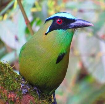 Mi Paraiso Escondido