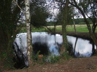 Bed & Breakfast Au Parc Aux Li�vres