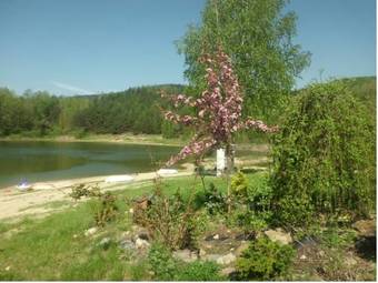 Hostal Rezidence U Jezera