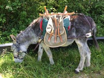 Bed & Breakfast La Barillerie