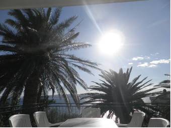 Apartments Tri Palme