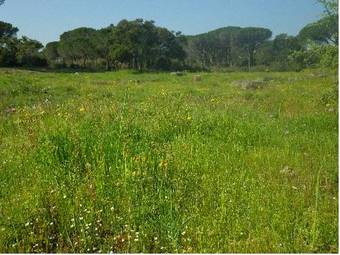 Bed & Breakfast Le Mas Du Rouquan