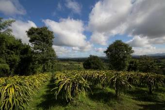 Hotel The Spa Resort Chiang Mai