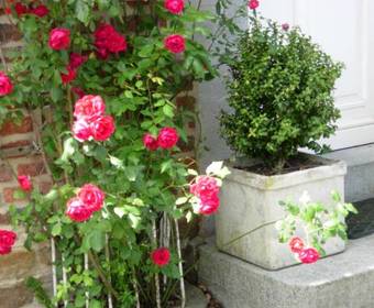 B&B Le Relais Du Moustier