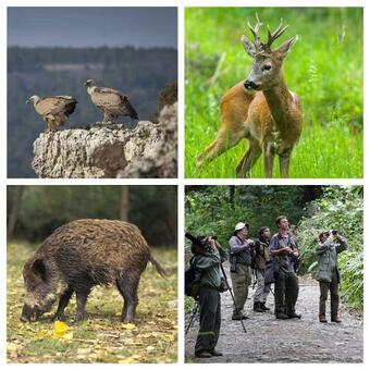 Apartamento Merindades Amazul Milano Piso Tur�stico Medina De Pomar