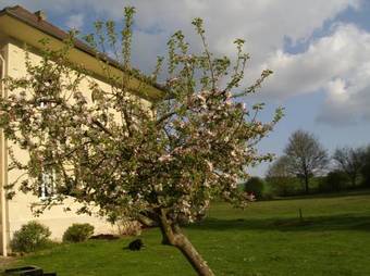 Bed & Breakfast Domaine De Beauvilliers