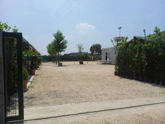 Casa Costa Relais B&B