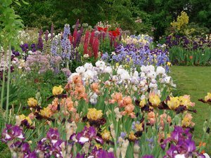 Hotel Hampton Inn And Suites Salem