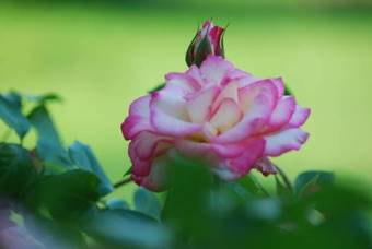 Bed & Breakfast La Petite Boire - Chambres D'h�tes