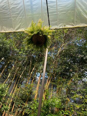 Hotel Athoshotelboutique