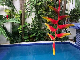 Ver fotos