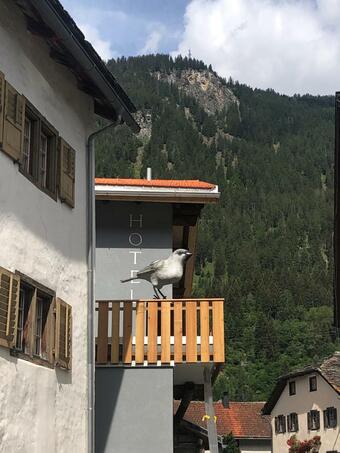 Apartamento Appart Hotel Pitschonia Self Check-in