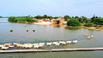 Hotel King Baobab Lodge