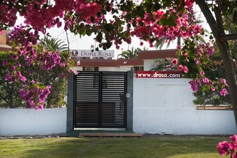 Apartamentos Bungalows Do�a Rosa