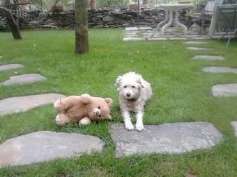 Bed & Breakfast Il Castello