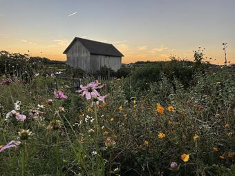 The Farmhouse Bed And Breakfast