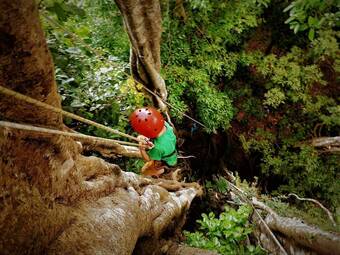 Hotel Banana Bay Marina