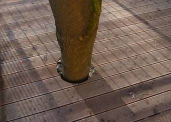 Baumhaus Lodge Schrems