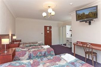 Blue Cattle Dog Hotel