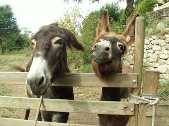 Agroturismo Budi�o De Serraseca