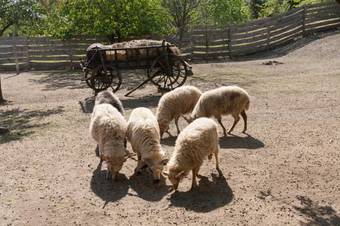 P�ratlan Apartmanh�z