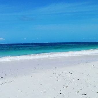 Hotel Flamingo Villas Club