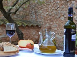 Agroturisme Son Barcel� Mas