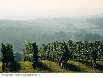 Posada Beerenhof Wiesen