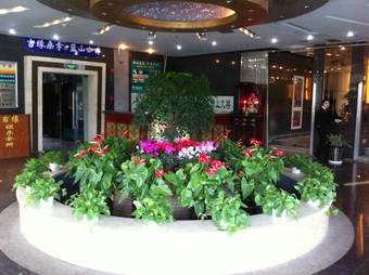 Greentree Inn Shanghai Longwu Road Express Hotel
