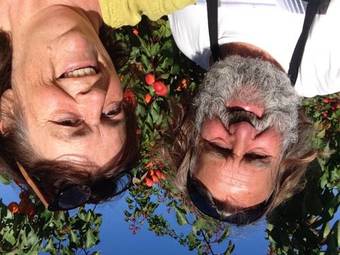 Bed & Breakfast Le Domaine Saint Jean