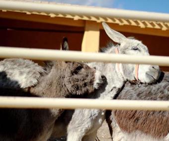 Villa Caserio Inazares