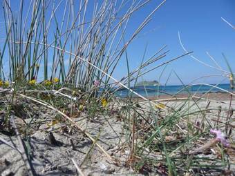 Apartamentos Casa A Rota Appartements