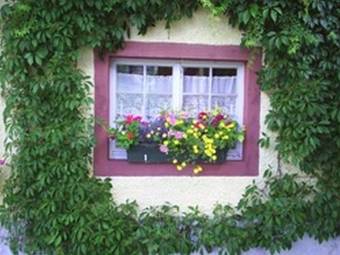 Hostal Pension Sonne