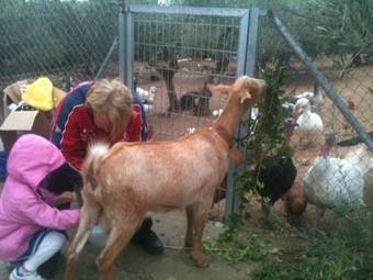 Agroturismo Casa Rural Andrea