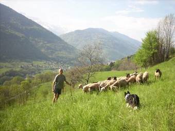Bed & Breakfast Ferme Auberge Du Bessard