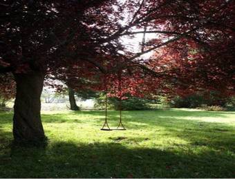 Bed & Breakfast Le Moulin Fleuri Du Petit Appeville