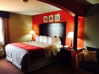 Hotel Comfort Inn And Suites Melvindale
