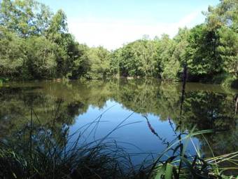 Bed & Breakfast Chateau De B�zyl