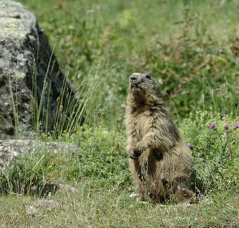 Apartamentos Appart'h�tel "le Garage"