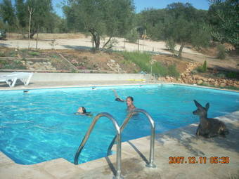 Agroturismo Casas Rurales La Loma Del Carrascal