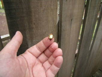 Agroturismo Casas Los Hualles De Co�aripe